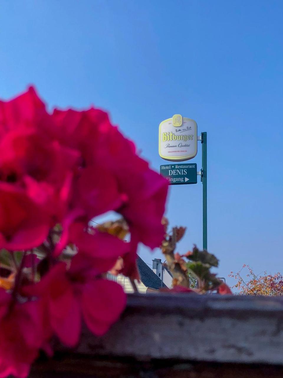 Hotel Restaurant Denis Zemmer エクステリア 写真